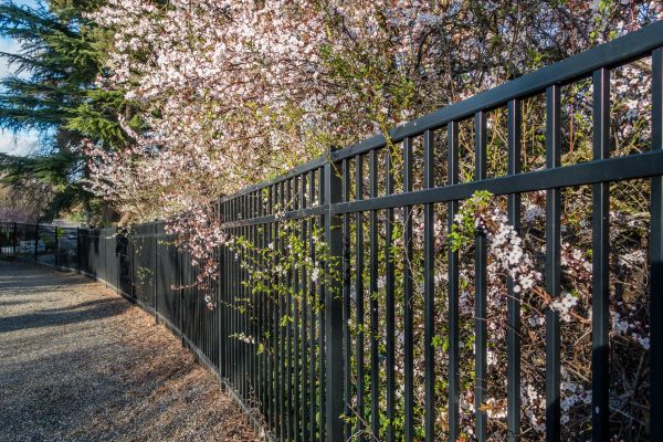 Black Metal Fence Installation in York