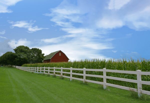 Farm Fence Repair in York