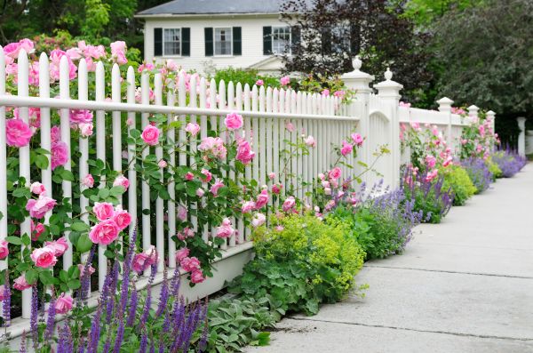 Fence Service in York