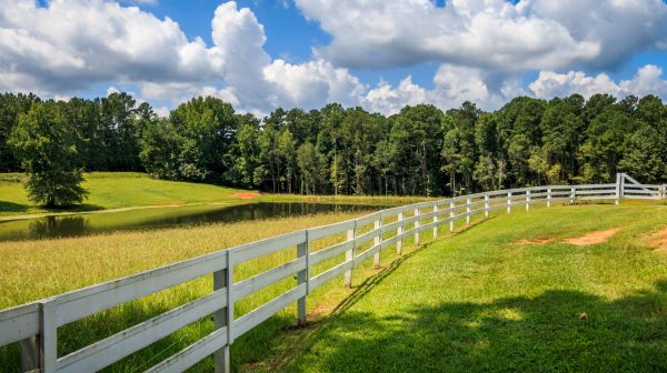 Pasture Fence Installation in York