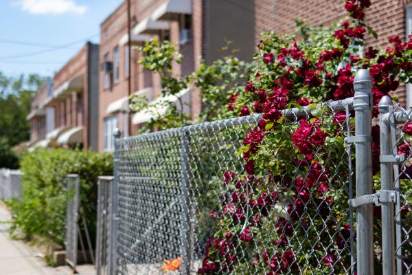 Chain Link Fence Replacement in York