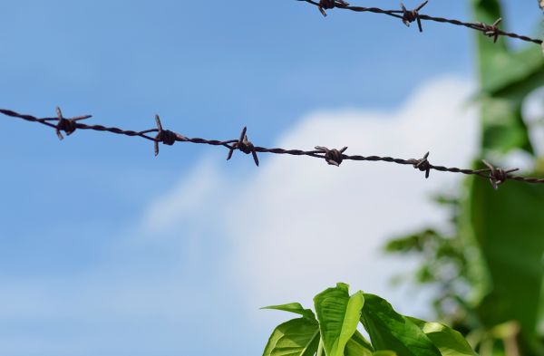 Garden Fencing Service in York
