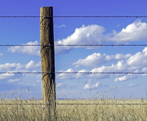 Barbed Wire Fence Installation in York