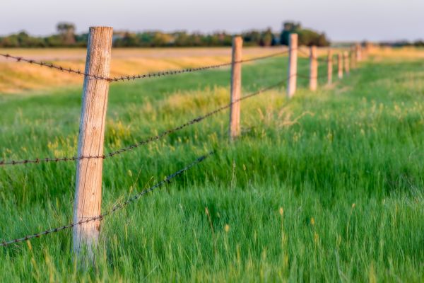 Horse Fence Installation in York