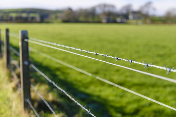Game Fence Installation in York