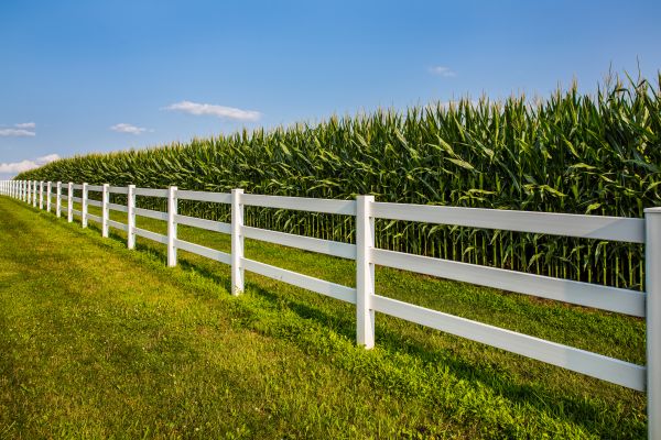 Rail Fence Repair in York