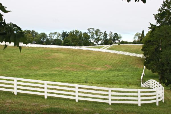 Pasture Fence Replacement in York