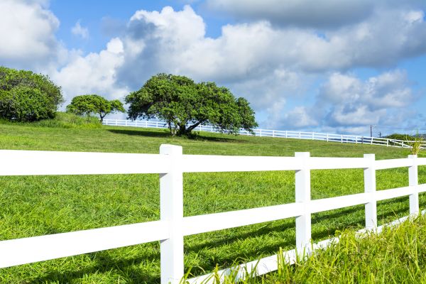 Fence Rail Replacement in York