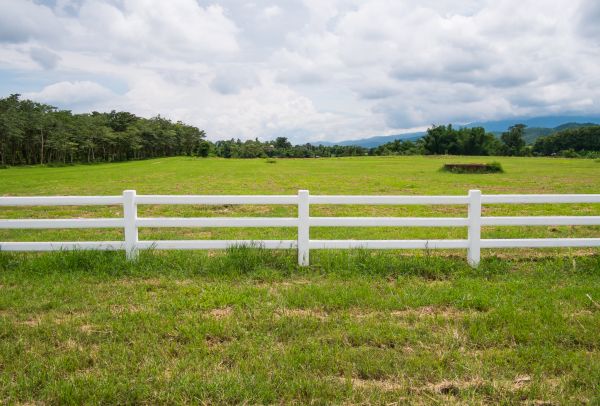 Field Fence Repair in York