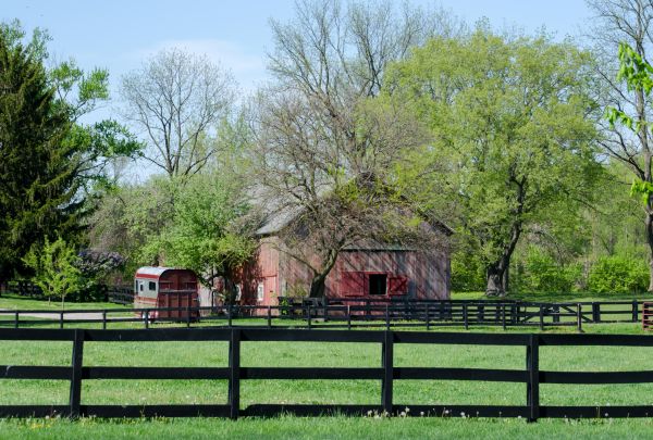 Horse Paddock Repair in York