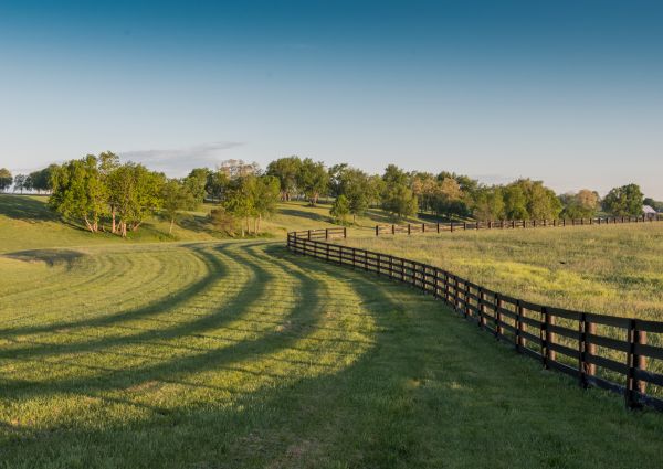 Equine Fence Repair in York
