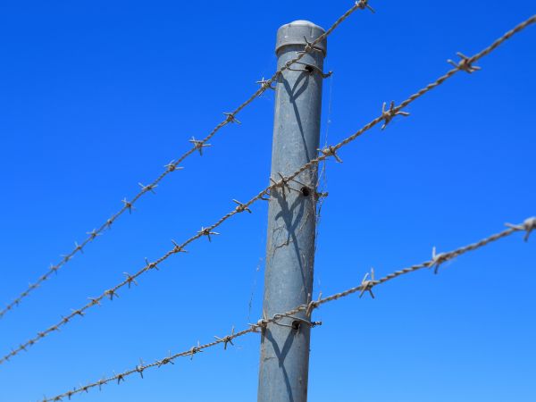 Wire Fence Replacement in York