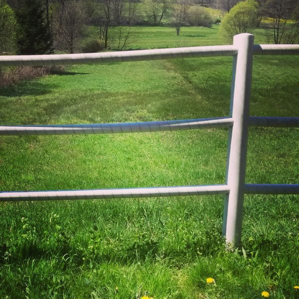 Cattle Fence Replacement in York