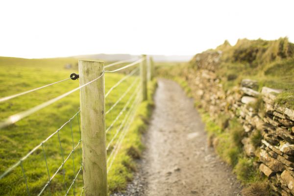 Field Fence Replacement in York