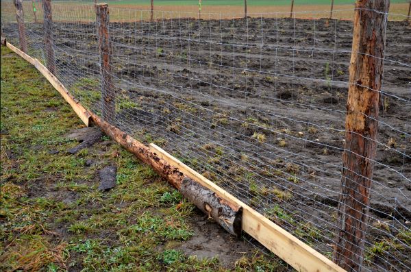 Deer Fencing Repair in York