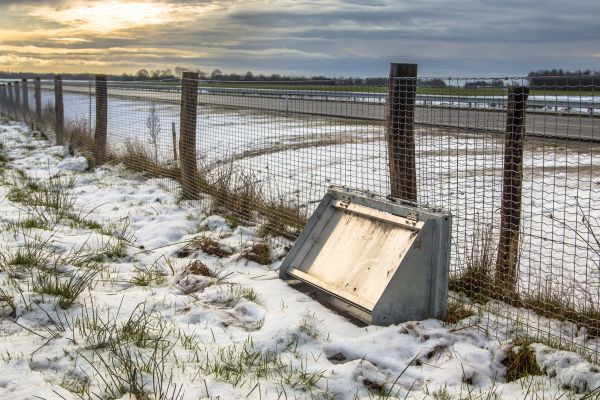 Wildlife Fence Repair in York